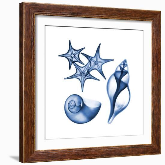 Blue Assortment Three-Albert Koetsier-Framed Art Print