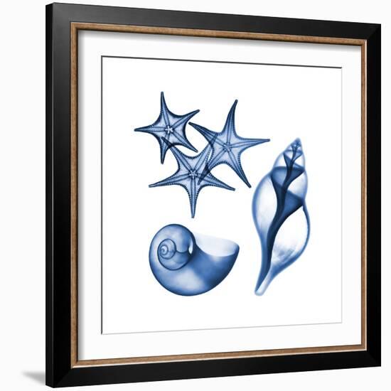 Blue Assortment Three-Albert Koetsier-Framed Art Print