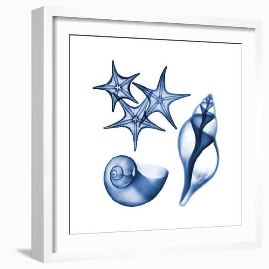 Blue Assortment Three-Albert Koetsier-Framed Art Print