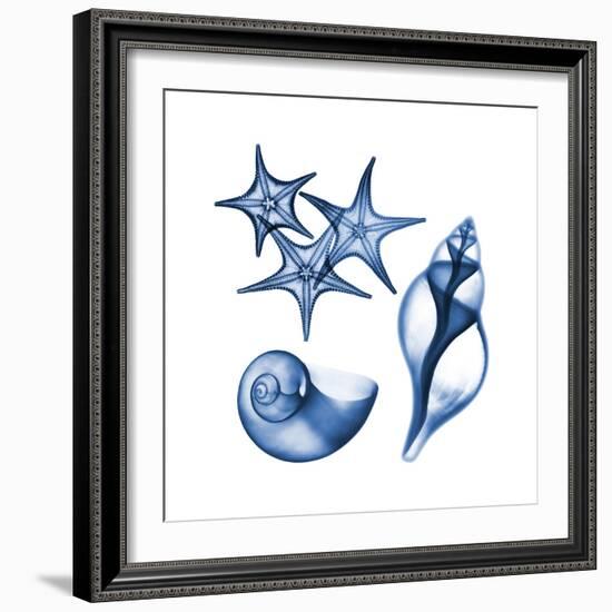 Blue Assortment Three-Albert Koetsier-Framed Art Print