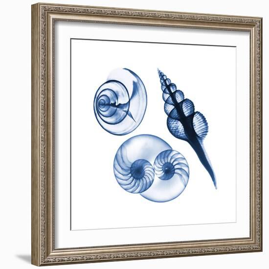 Blue Assortment Two-Albert Koetsier-Framed Art Print