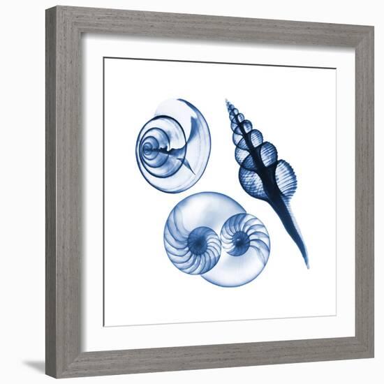 Blue Assortment Two-Albert Koetsier-Framed Art Print