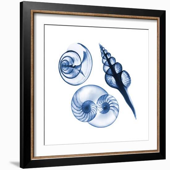 Blue Assortment Two-Albert Koetsier-Framed Art Print