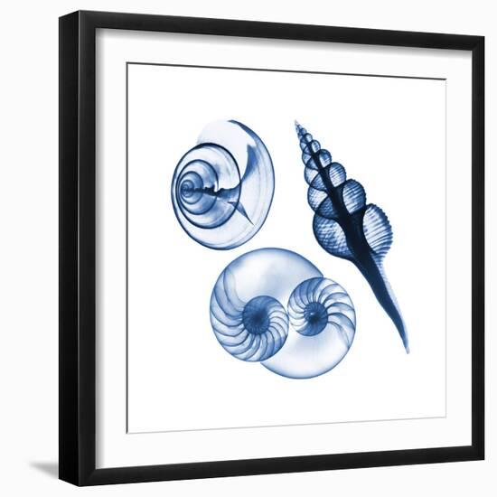 Blue Assortment Two-Albert Koetsier-Framed Art Print