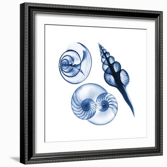 Blue Assortment Two-Albert Koetsier-Framed Art Print