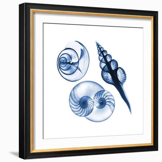 Blue Assortment Two-Albert Koetsier-Framed Art Print