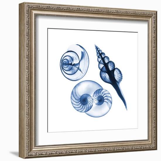 Blue Assortment Two-Albert Koetsier-Framed Art Print