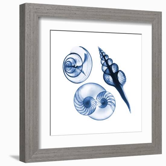 Blue Assortment Two-Albert Koetsier-Framed Art Print