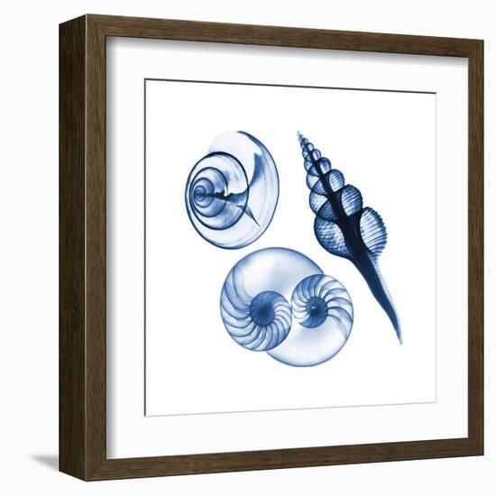 Blue Assortment Two-Albert Koetsier-Framed Art Print