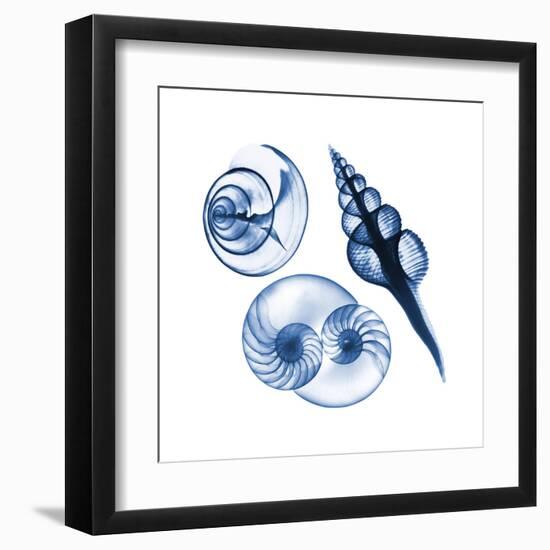 Blue Assortment Two-Albert Koetsier-Framed Art Print