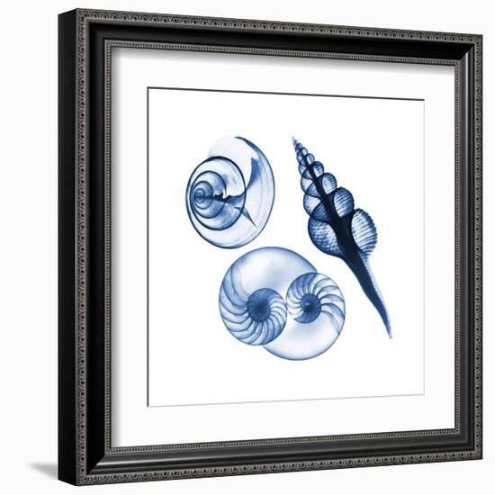 Blue Assortment Two-Albert Koetsier-Framed Art Print