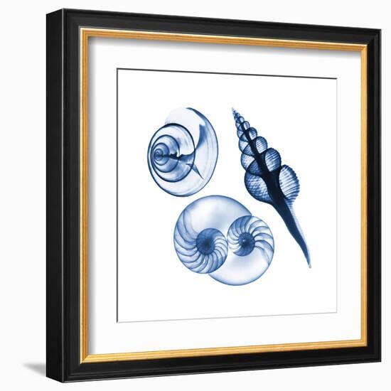 Blue Assortment Two-Albert Koetsier-Framed Art Print