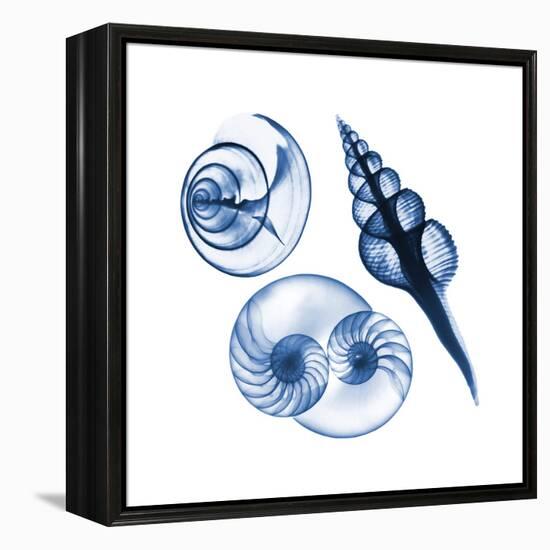 Blue Assortment Two-Albert Koetsier-Framed Stretched Canvas