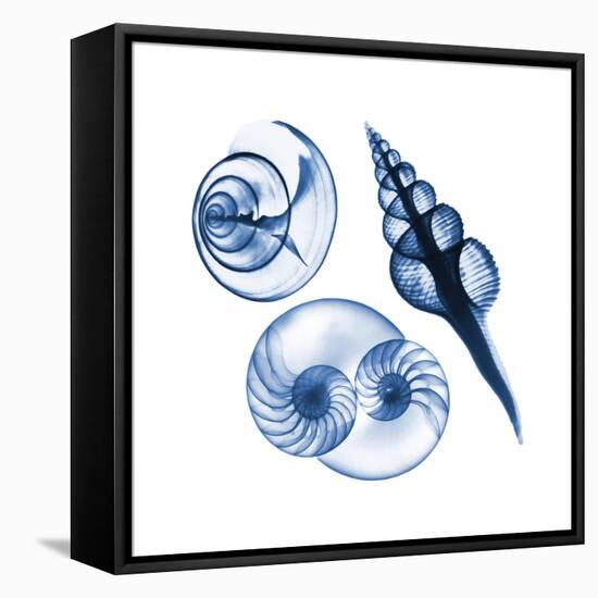 Blue Assortment Two-Albert Koetsier-Framed Stretched Canvas