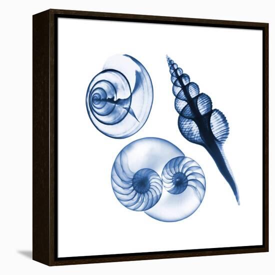 Blue Assortment Two-Albert Koetsier-Framed Stretched Canvas