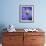 Blue Aster-Clive Nichols-Framed Photographic Print displayed on a wall