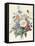 Blue Asters-Eugene A. L. d' Orleans-Framed Premier Image Canvas