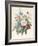 Blue Asters-Eugene A. L. d' Orleans-Framed Giclee Print