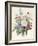 Blue Asters-Eugene A. L. d' Orleans-Framed Giclee Print