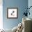 Blue Azalea-Albert Koetsier-Framed Premium Giclee Print displayed on a wall