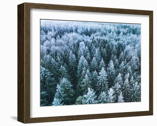 Blue Background Texture of a Frozen Forest at Winter, Aerial Shot-null-Framed Photographic Print