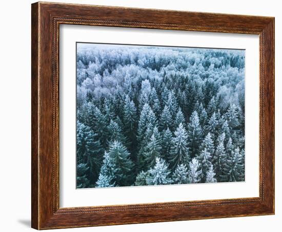 Blue Background Texture of a Frozen Forest at Winter, Aerial Shot-null-Framed Photographic Print