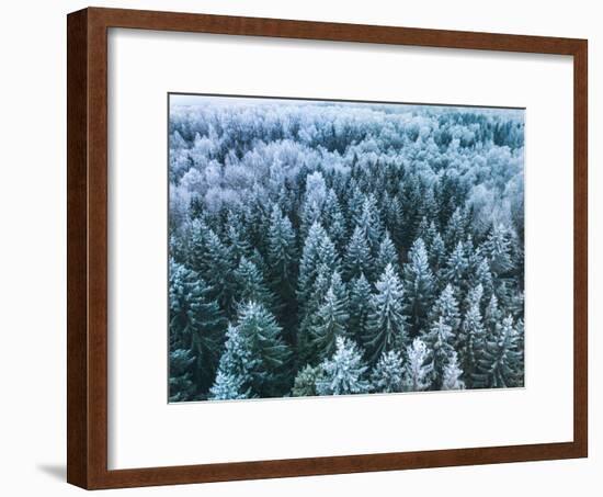 Blue Background Texture of a Frozen Forest at Winter, Aerial Shot-null-Framed Photographic Print