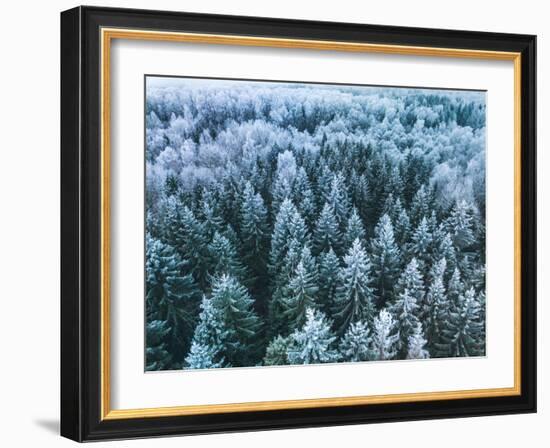 Blue Background Texture of a Frozen Forest at Winter, Aerial Shot-null-Framed Photographic Print
