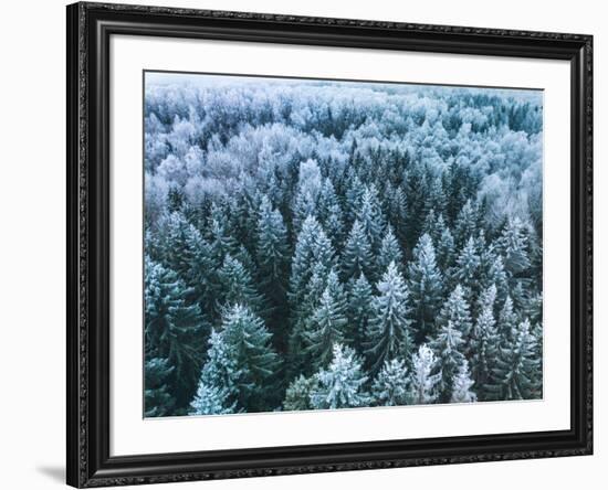 Blue Background Texture of a Frozen Forest at Winter, Aerial Shot-null-Framed Photographic Print