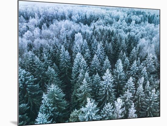 Blue Background Texture of a Frozen Forest at Winter, Aerial Shot-null-Mounted Photographic Print