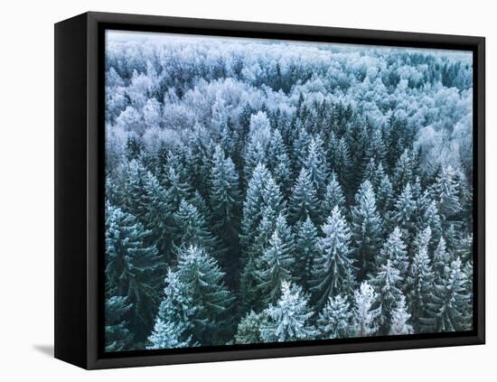 Blue Background Texture of a Frozen Forest at Winter, Aerial Shot-null-Framed Premier Image Canvas