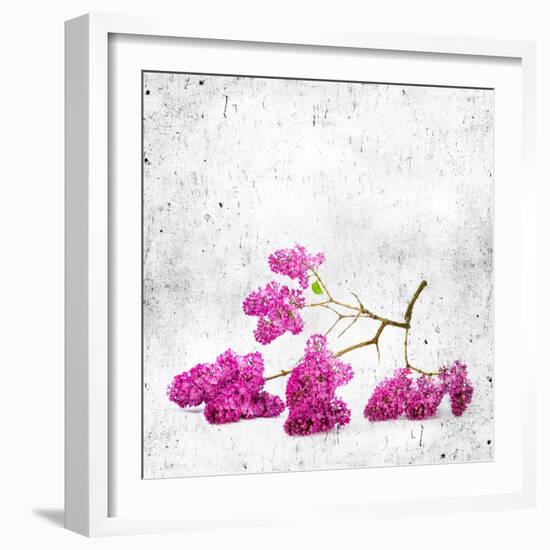 Blue Background with Lilac Flowers-Elena Larina-Framed Art Print