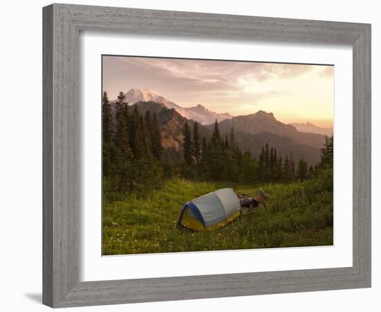 Blue backpacking tent in the Tatoosh Wilderness, Washington State, USA-Janis Miglavs-Framed Photographic Print