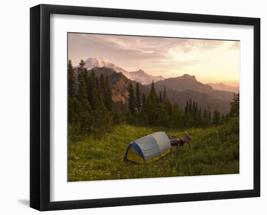 Blue backpacking tent in the Tatoosh Wilderness, Washington State, USA-Janis Miglavs-Framed Photographic Print