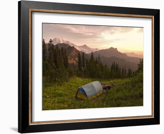 Blue backpacking tent in the Tatoosh Wilderness, Washington State, USA-Janis Miglavs-Framed Photographic Print