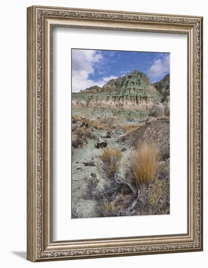 Blue Basin Unit-Steve Terrill-Framed Photographic Print