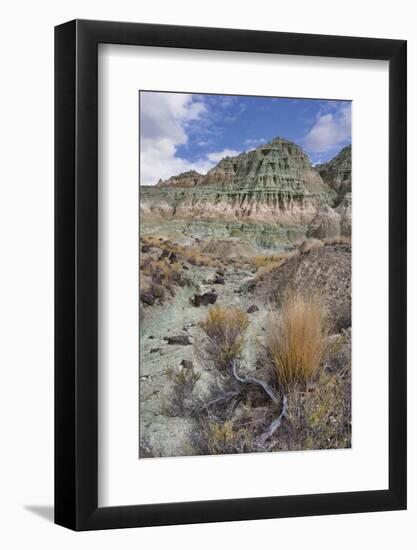 Blue Basin Unit-Steve Terrill-Framed Photographic Print