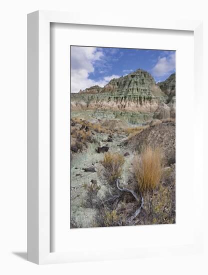 Blue Basin Unit-Steve Terrill-Framed Photographic Print