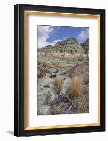 Blue Basin Unit-Steve Terrill-Framed Photographic Print