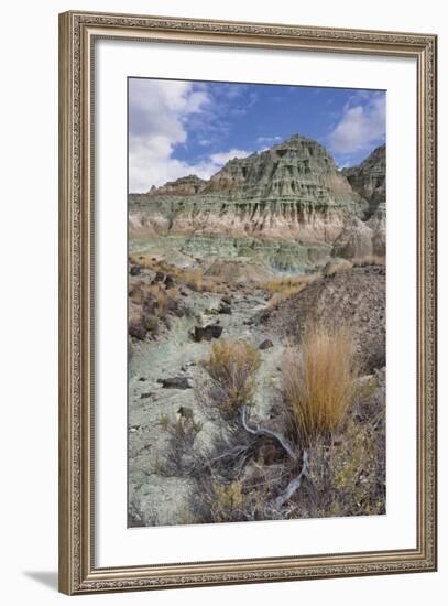 Blue Basin Unit-Steve Terrill-Framed Photographic Print