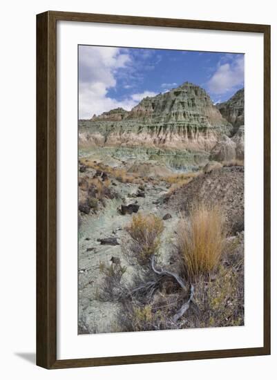 Blue Basin Unit-Steve Terrill-Framed Photographic Print