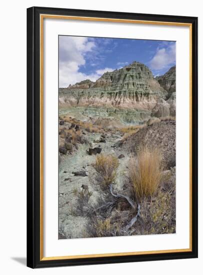 Blue Basin Unit-Steve Terrill-Framed Photographic Print