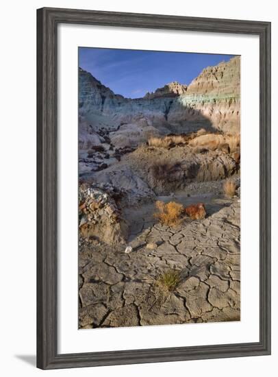 Blue Basin Unit-Steve Terrill-Framed Photographic Print