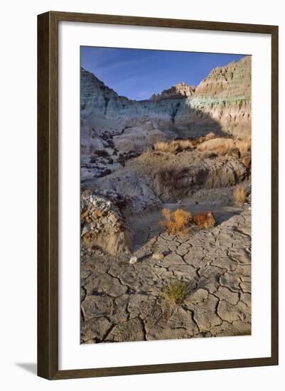 Blue Basin Unit-Steve Terrill-Framed Photographic Print