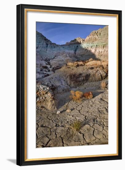 Blue Basin Unit-Steve Terrill-Framed Photographic Print