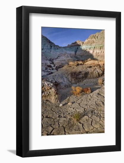 Blue Basin Unit-Steve Terrill-Framed Photographic Print