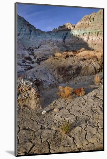 Blue Basin Unit-Steve Terrill-Mounted Photographic Print