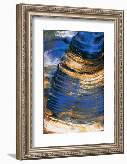 Blue beat-Heidi Westum-Framed Photographic Print