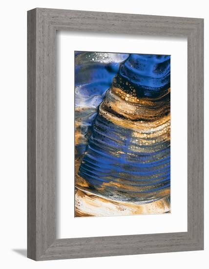 Blue beat-Heidi Westum-Framed Photographic Print