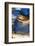 Blue beat-Heidi Westum-Framed Photographic Print